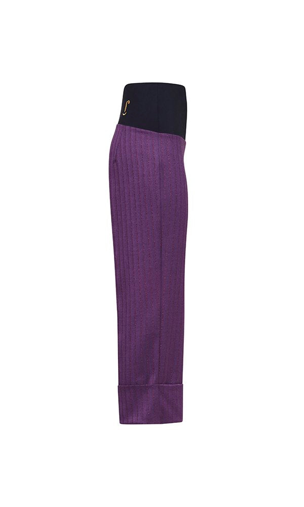 Panta Havana gessato viola con baschina
